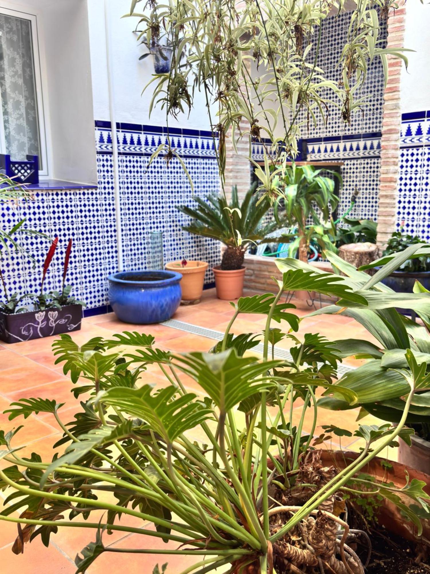 Shanti'S Andalusian Rooms Málaga Esterno foto
